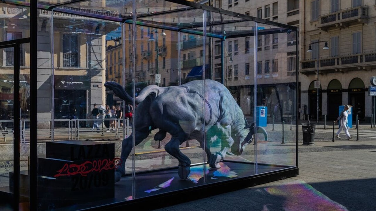 installazione toro lazza corso como